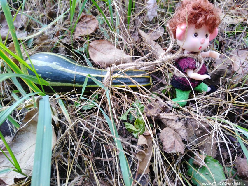 Про Нафочку. Лесные тайны. Эпизод 3 (фото 3)