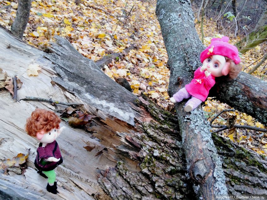 Про Нафочку. Лесные тайны. Эпизод 2