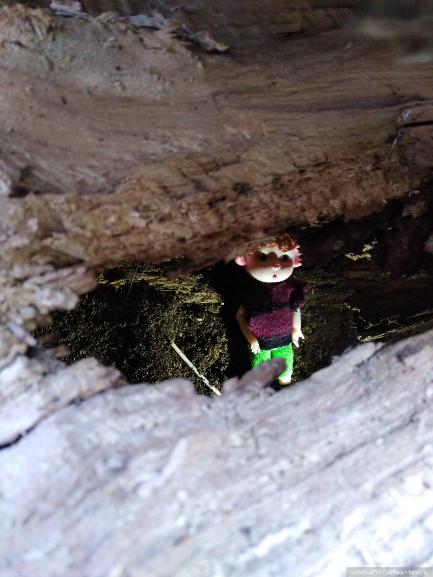 Про Нафочку. Лесные тайны. Эпизод 2 (фото 6)