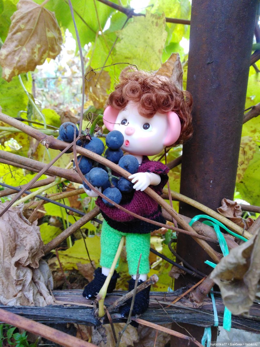 Про Нафочку. Лесные тайны. Эпизод 3 (фото 2)