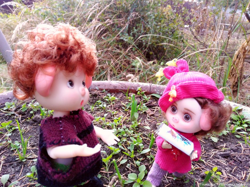 Про Нафочку. Лесные тайны. Эпизод 3