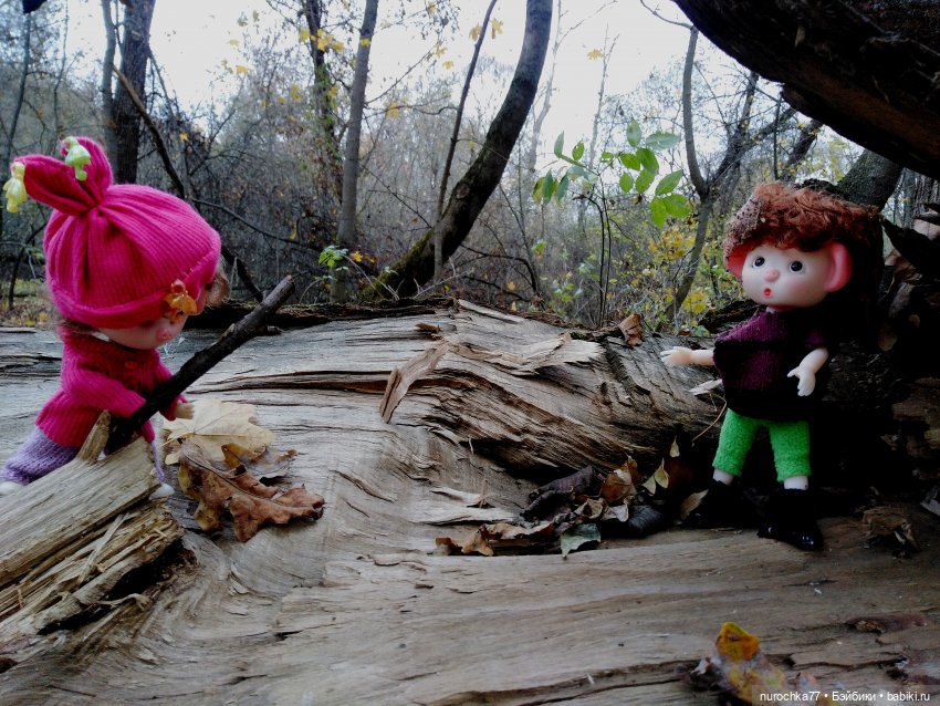 Про Нафочку. Лесные тайны. Эпизод 2 (фото 10)