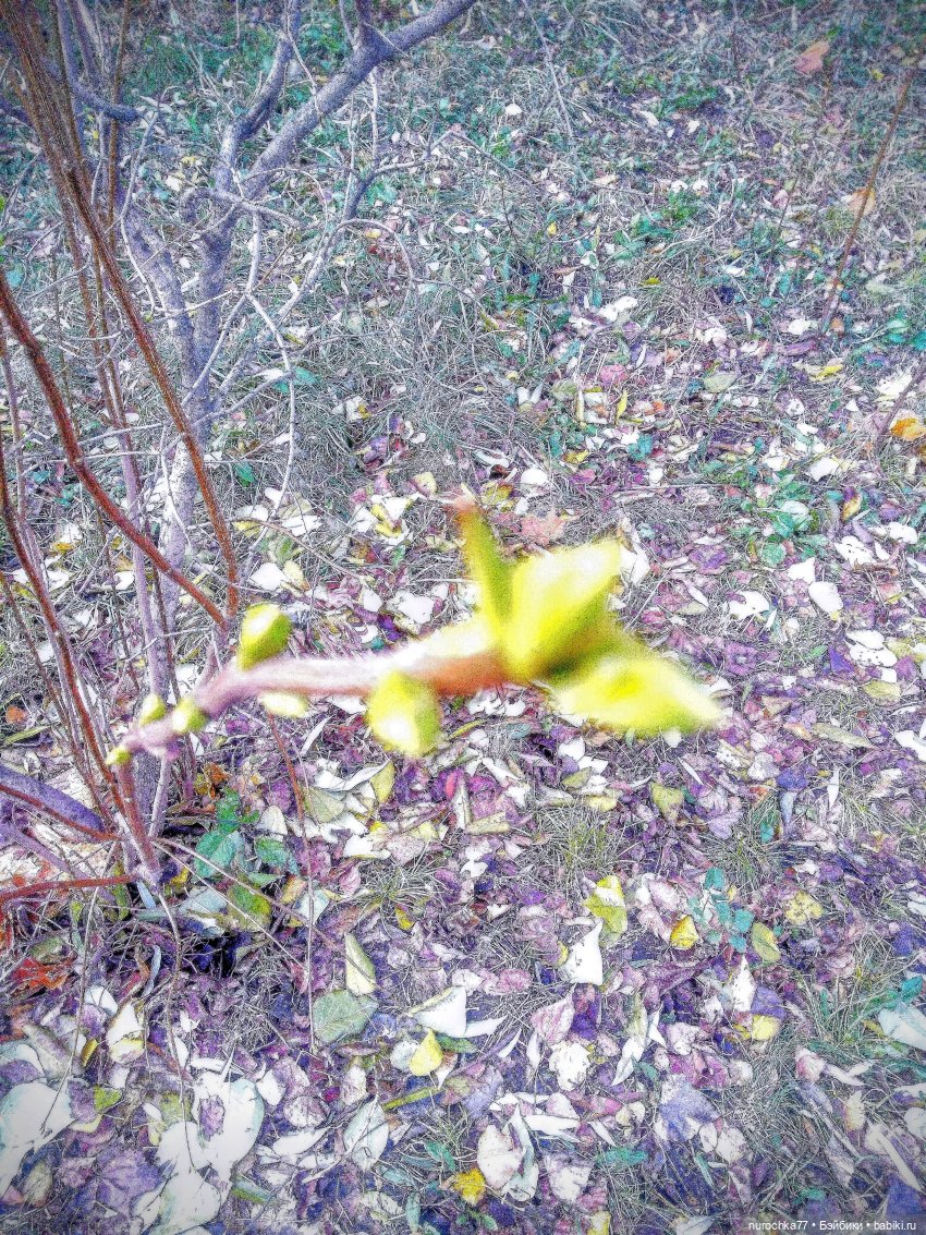 Про Нафочку. В гостях у тёплых Снеговичков