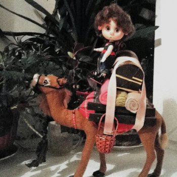 Про Нафочку. Прощай, Пермь!