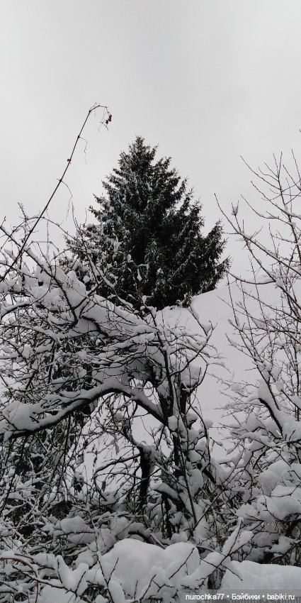 Про Нафочку. В путь — Гибриды шарнирных кукол (не БЖД): подбор тела (фото 6)