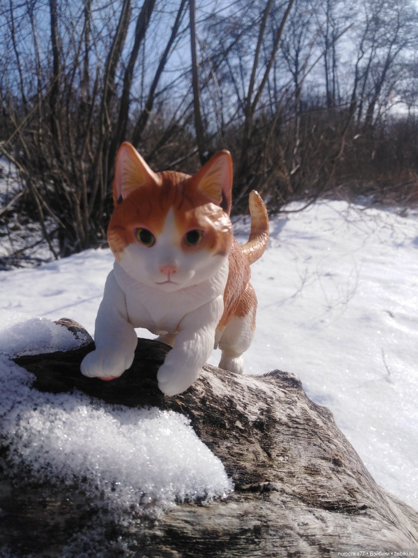 Про Нафочку. Встреча с Фантиком (фото 2)