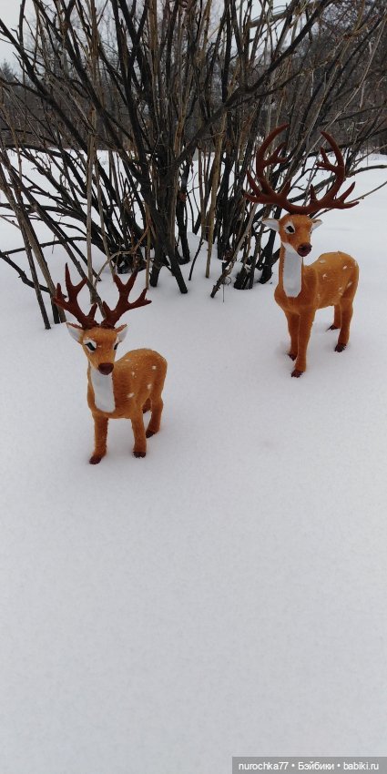 Про Нафочку. Встреча с Фантиком