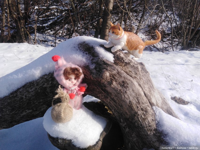 Про Нафочку. Встреча с Фантиком (фото 3)