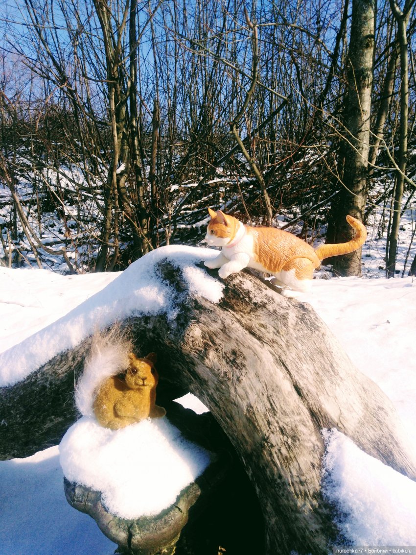 Про Нафочку. Фунтик нашёлся