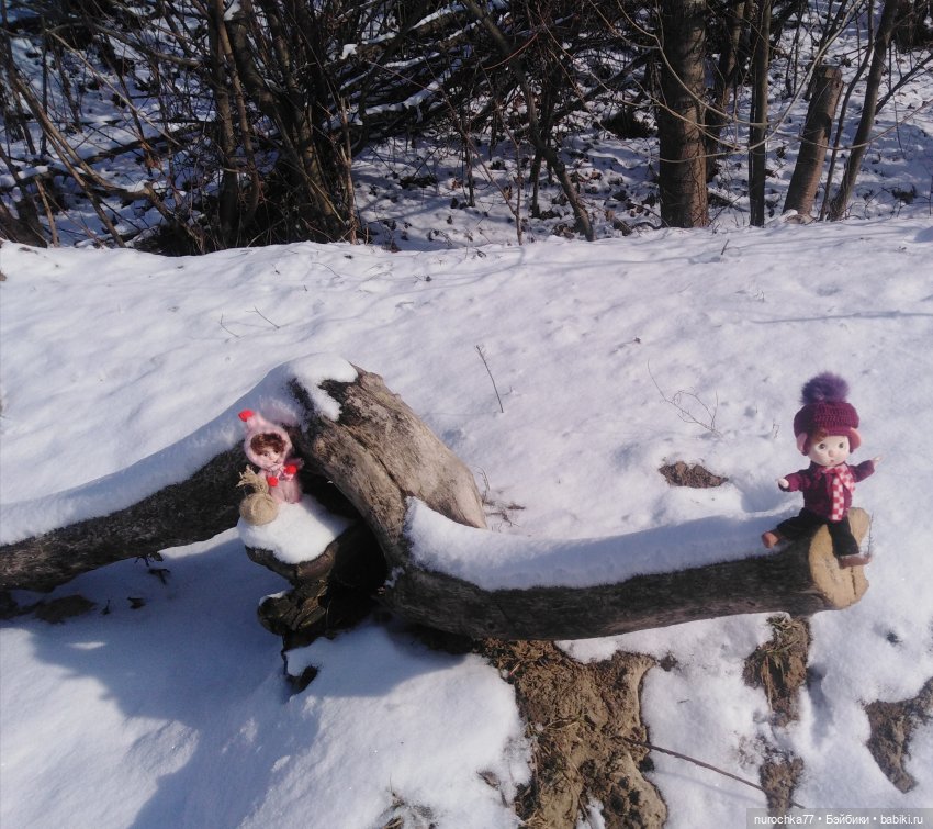 Про Нафочку. Фунтик нашёлся (фото 5)