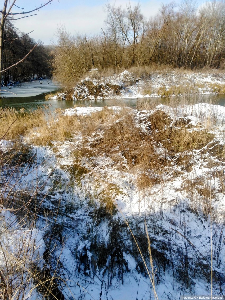 Про Нафочку. Фунтик нашёлся (фото 3)