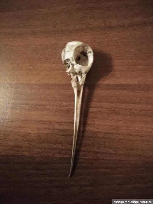 Про Нафочку. На встречу приключениям. Часть 2 (фото 5)