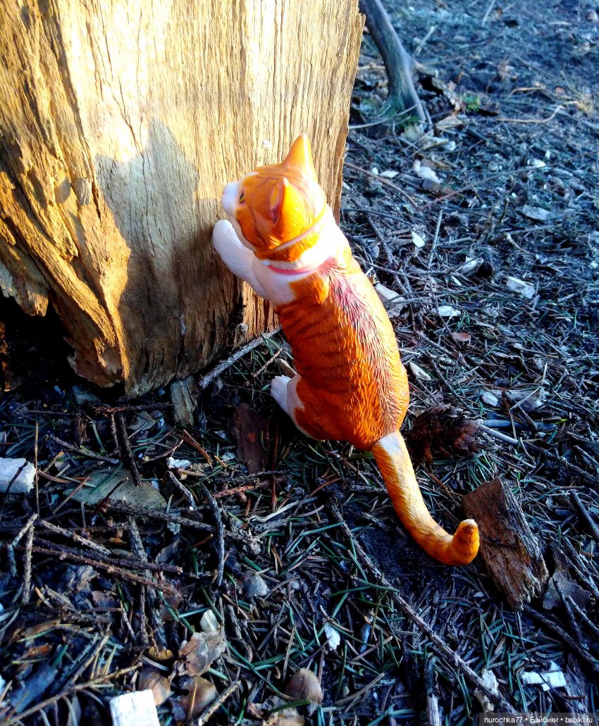 Про Нафочку. На встречу приключениям. Часть 3 (фото 7)