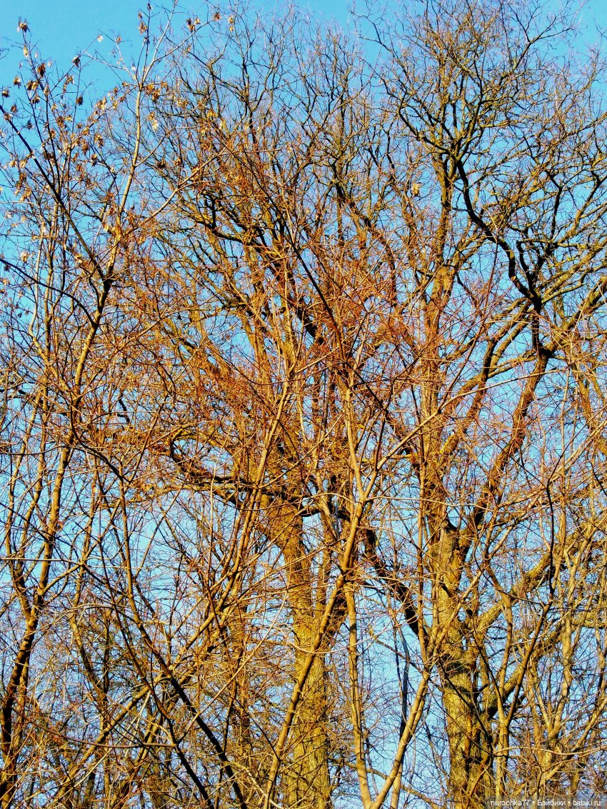 Про Нафочку. На встречу приключениям. Часть 3 (фото 2)