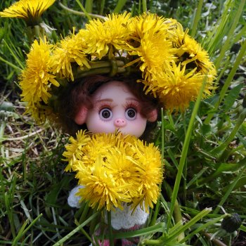 Про Нафочку. Нафочка и одуванчики