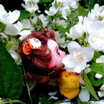 Про Нафочку. После дождя.