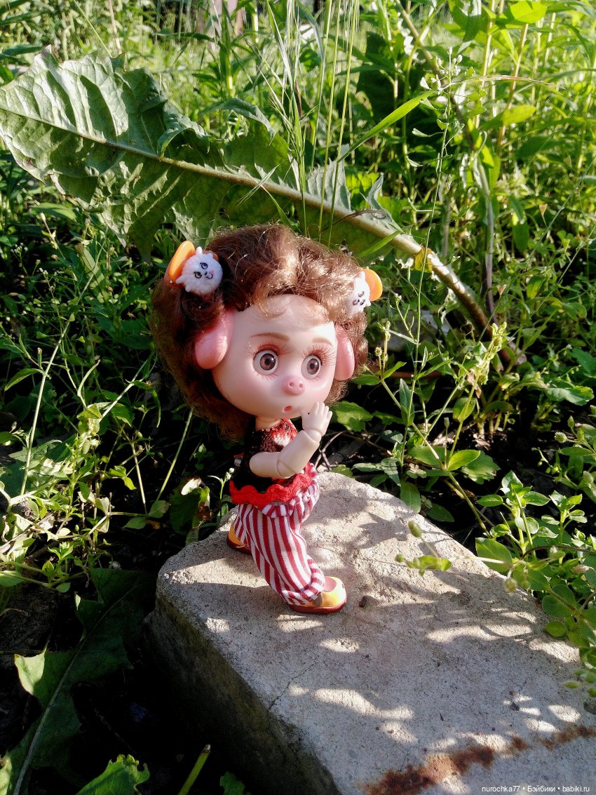 Про Нафочку. Долгий путь в страну свободных поросят (фото 7)