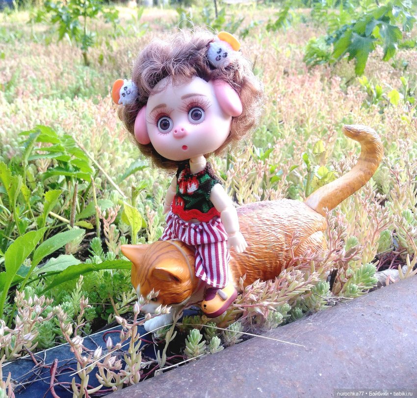 Про Нафочку. Долгий путь в страну свободных поросят