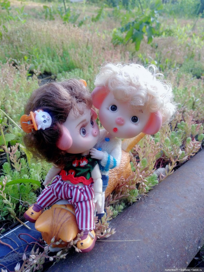 Про Нафочку. Долгий путь в страну свободных поросят