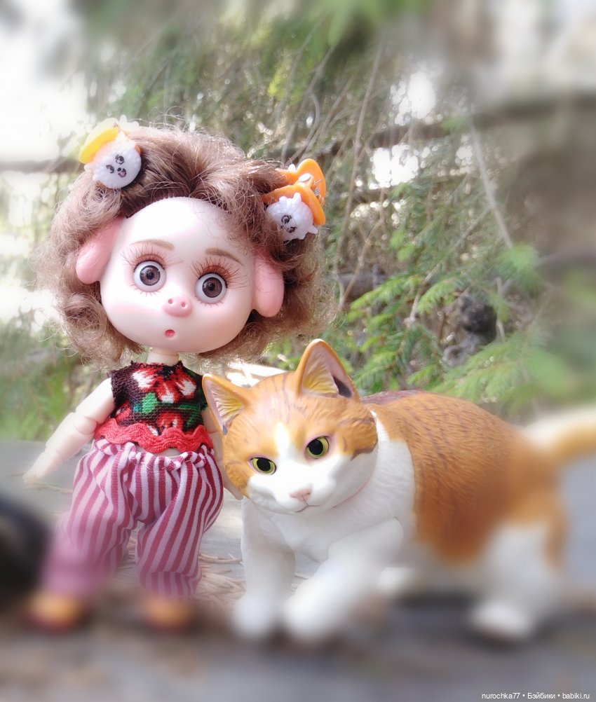 Про Нафочку. Долгий путь в страну свободных поросят