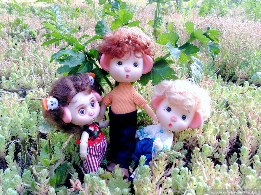 Про Нафочку. Долгий путь в страну свободных поросят