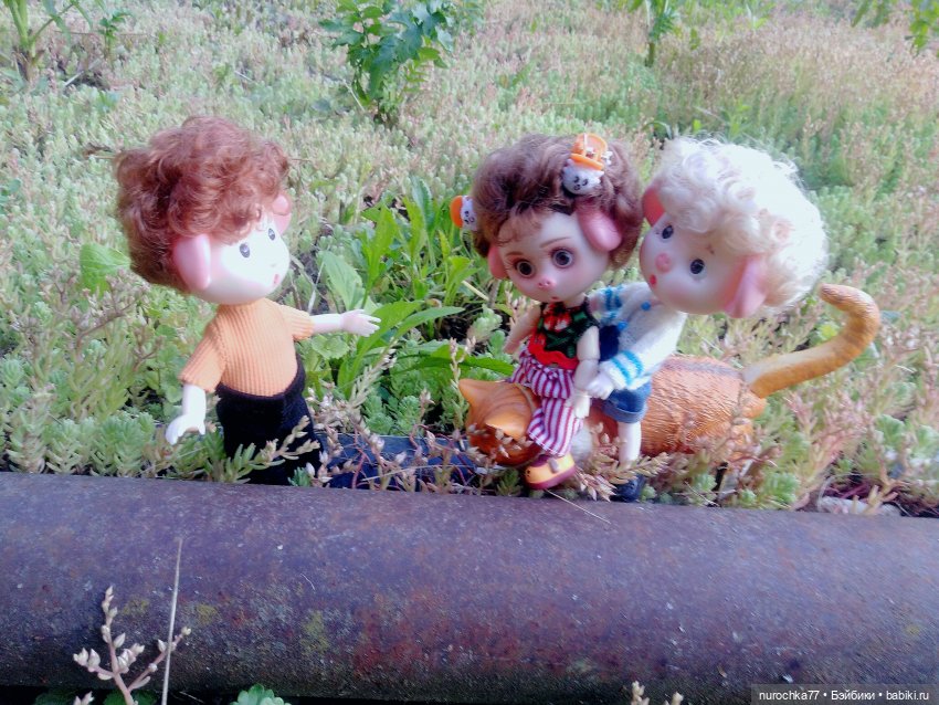 Про Нафочку. Долгий путь в страну свободных поросят