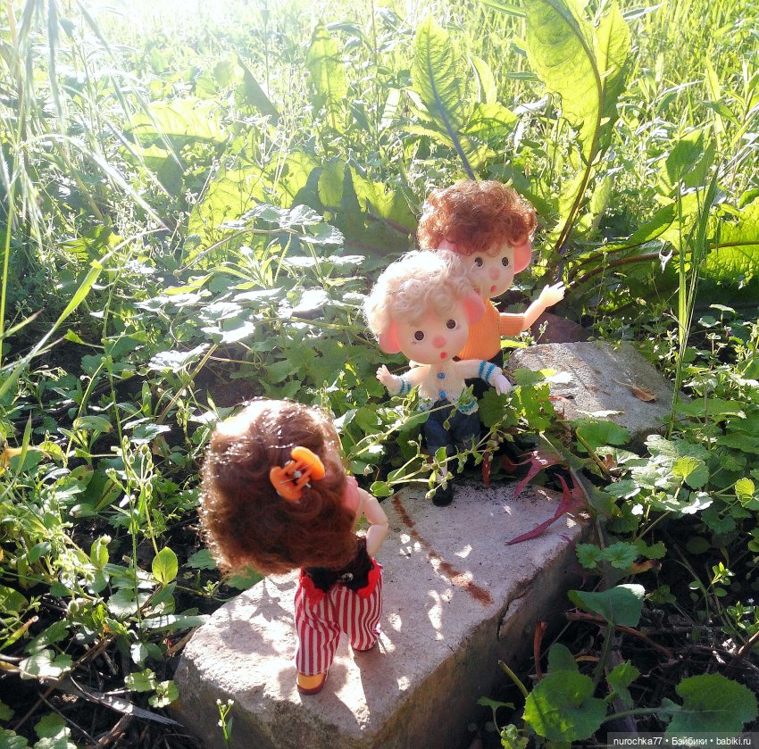 Про Нафочку. Долгий путь в страну свободных поросят (фото 9)