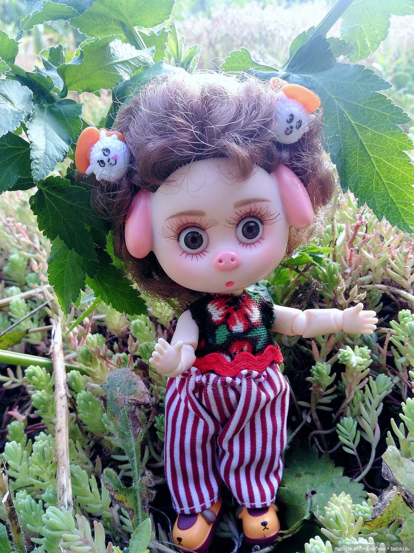 Про Нафочку. Долгий путь в страну свободных поросят