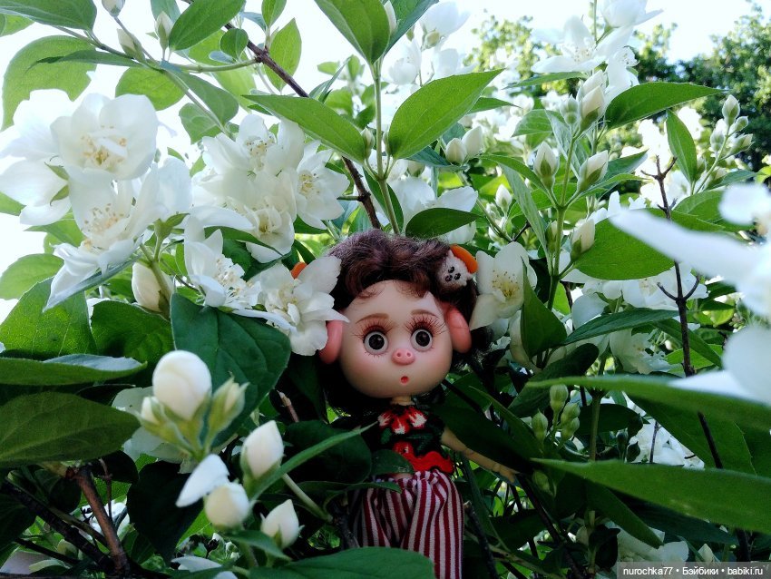 Про Нафочку. Долгий путь в страну свободных поросят (фото 2)