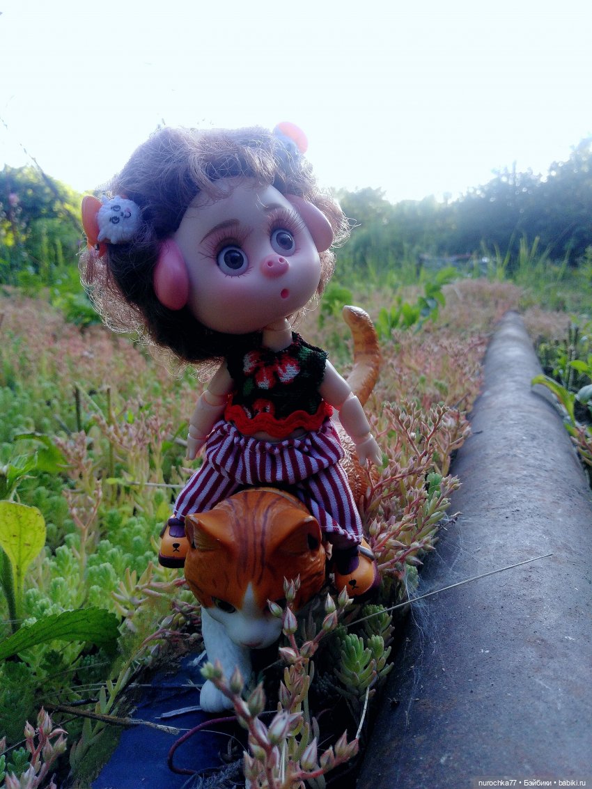 Про Нафочку. Долгий путь в страну свободных поросят