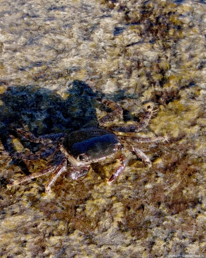 Про Нафочку. Успеть до осени (фото 9)