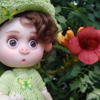 Про Нафочку. В дендрарии Сочи. Часть 2.