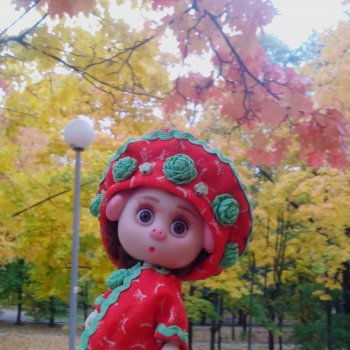 Про Нафочку. Мокрый осенний парк.