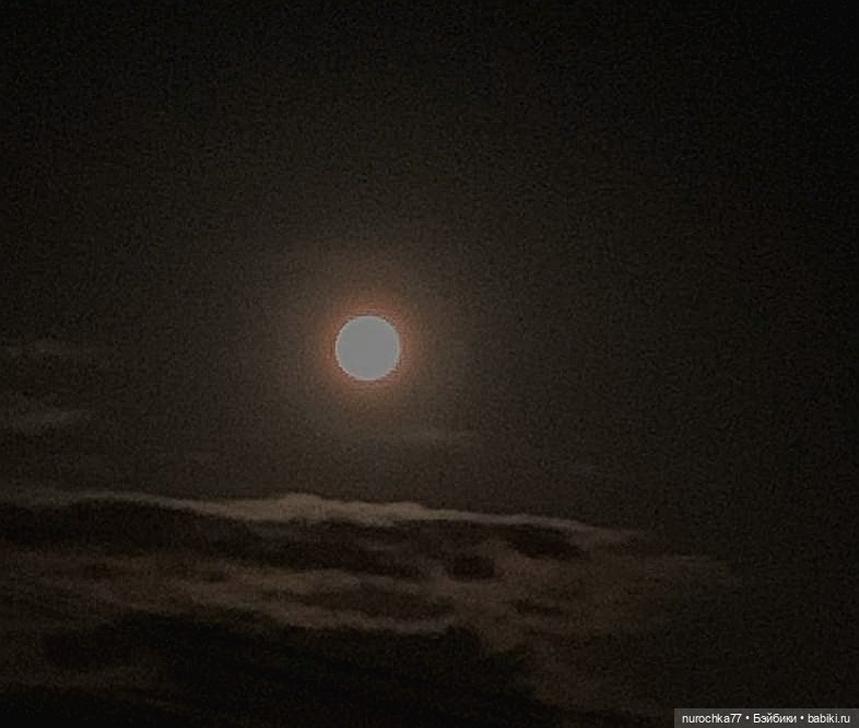 Про Нафочку. Последний день отпуска