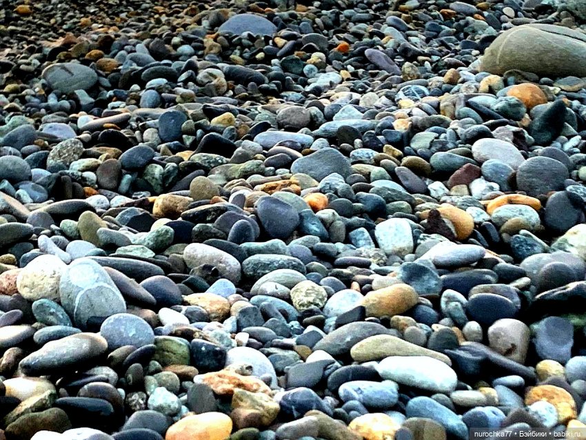 Про Нафочку. Последний день отпуска