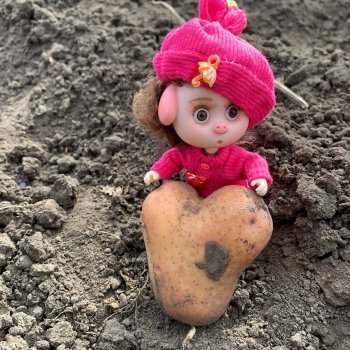 Про Нафочку. Сердце огорода.