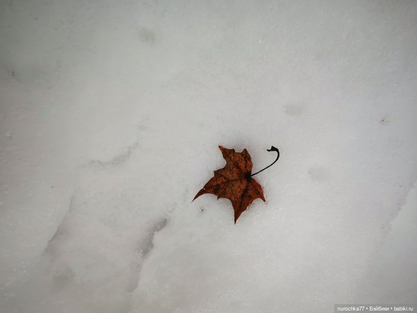 Про Нафочку. Лыжница — Гибриды шарнирных кукол (не БЖД): подбор тела (фото 6)