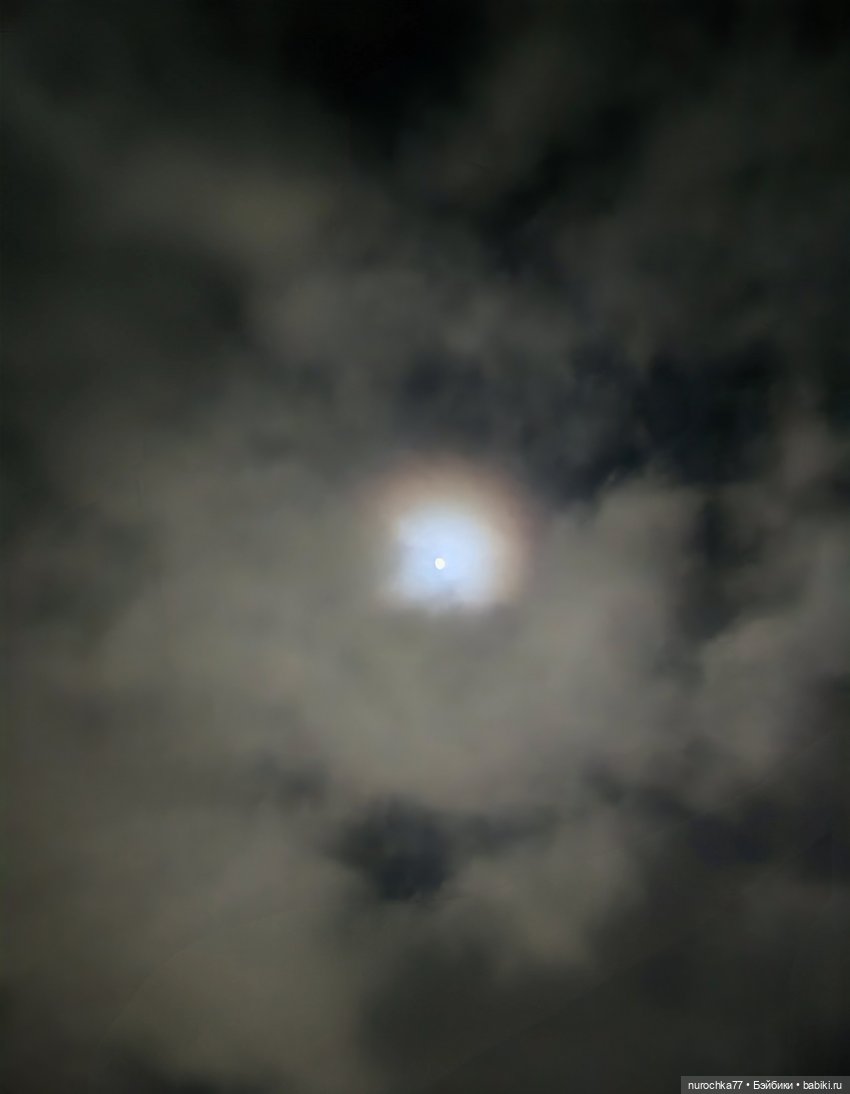 Про Нафочку. Лесная встреча с друзьями