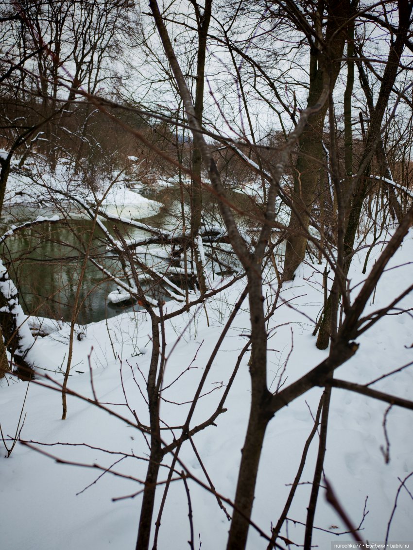 Про Нафочку. Лесная встреча с друзьями (фото 10)