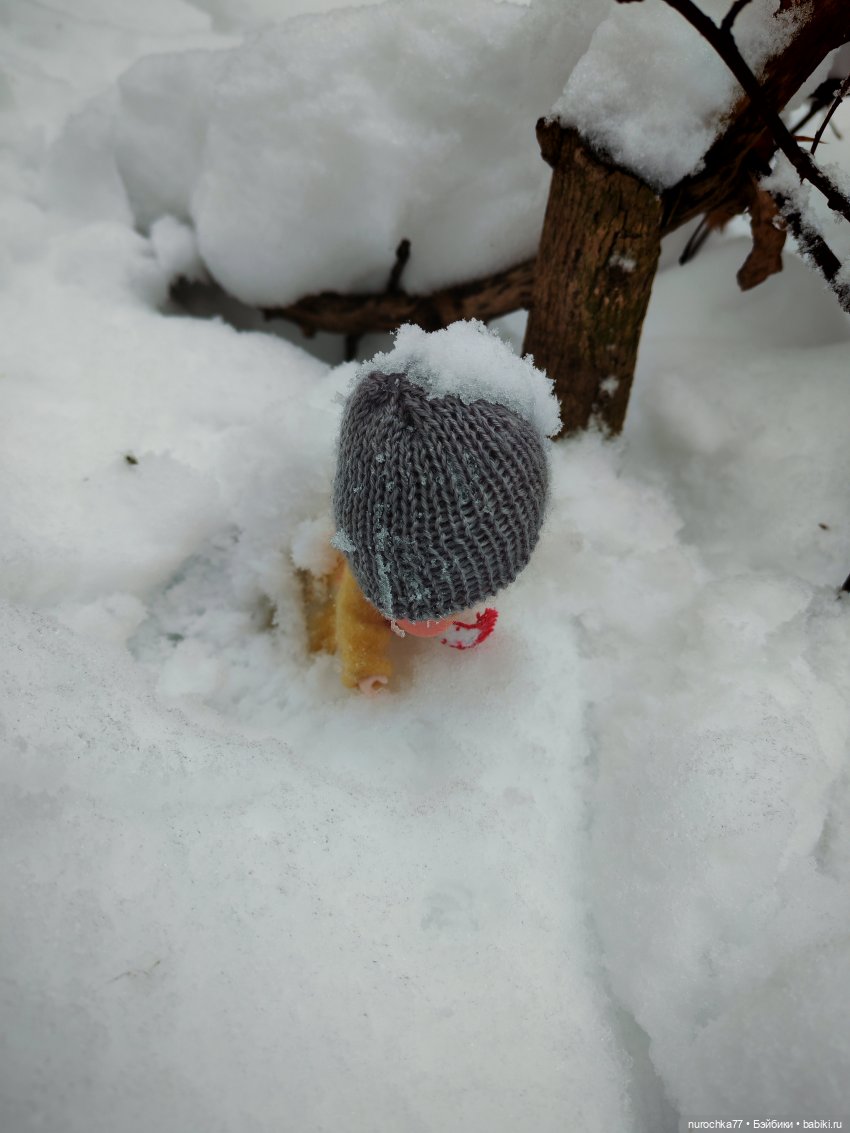 Про Нафочку. Лесная встреча с друзьями