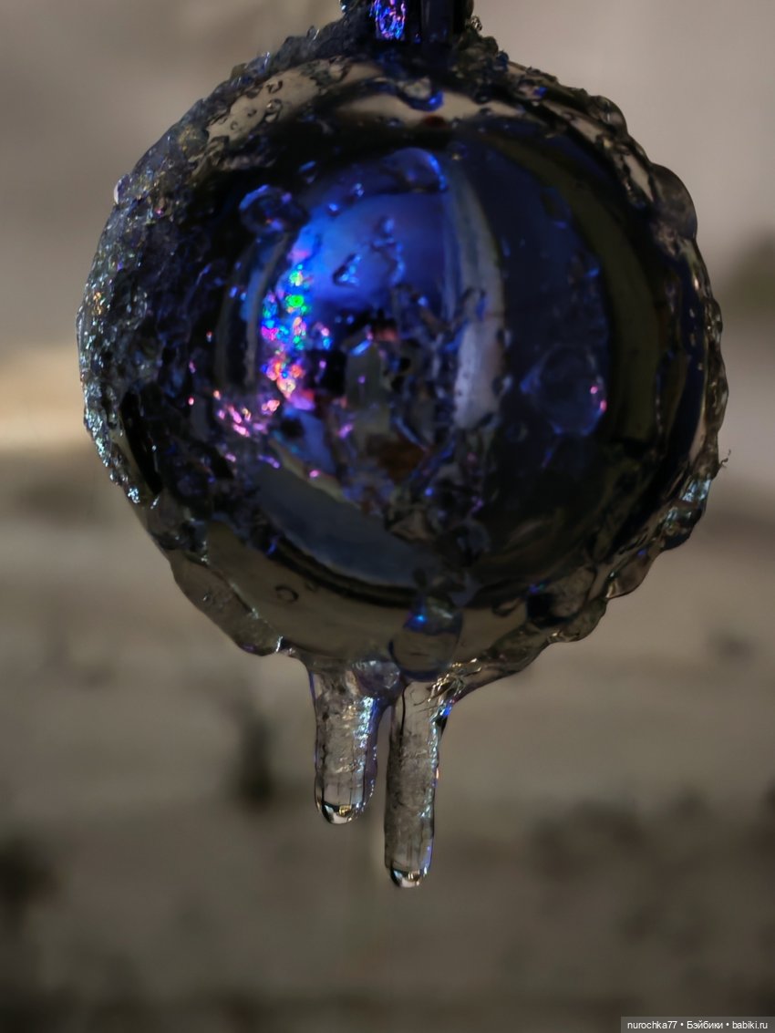 Про Нафочку. Лесная встреча с друзьями