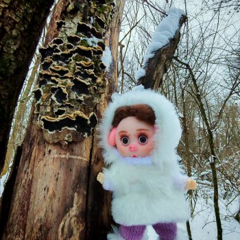 Про Нафочку. Лесная встреча с друзьями