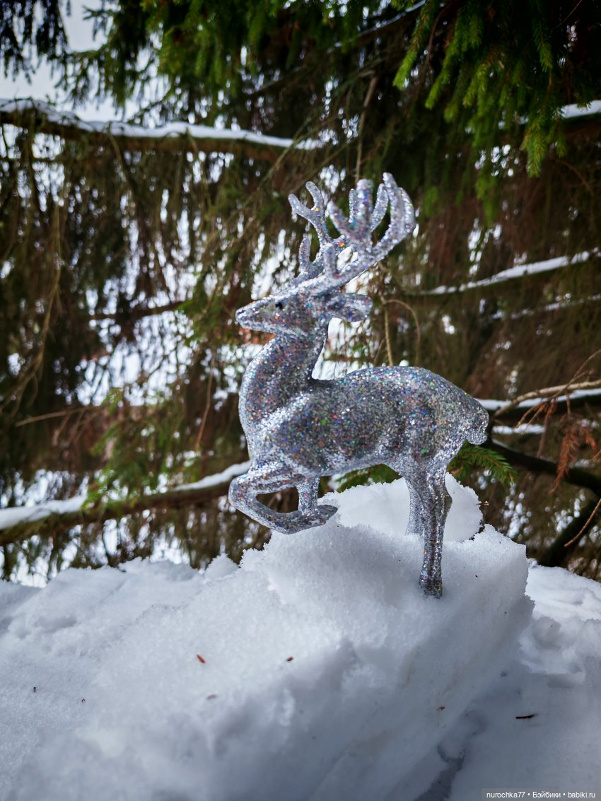 Про Нафочку. Поросята и зимние чудеса (фото 6)