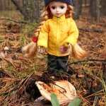 По грибы. Бузулукский бор