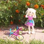 Аглая - юная велосипедистка, или страдания на колесах