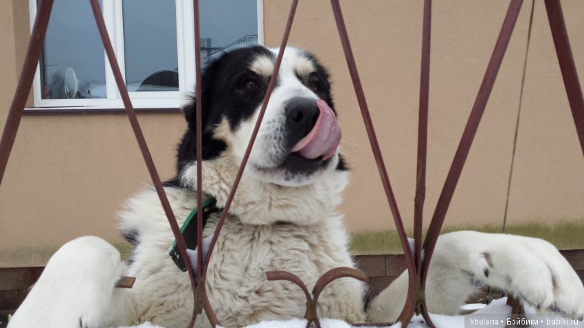 Дело было в январе — Домашние коллекции кукол: фото собраний