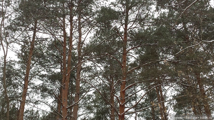 Дело было в январе — Домашние коллекции кукол: фото собраний