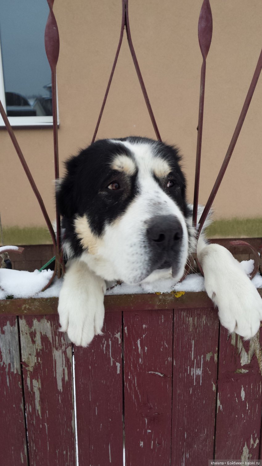 Дело было в январе — Домашние коллекции кукол: фото собраний