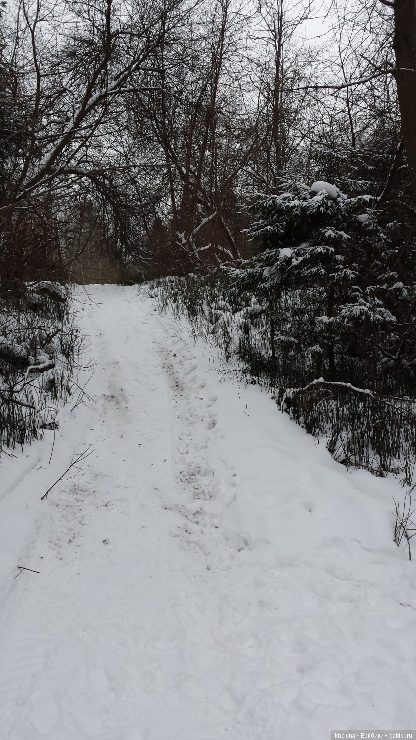 Дело было в январе — Домашние коллекции кукол: фото собраний (фото 9)