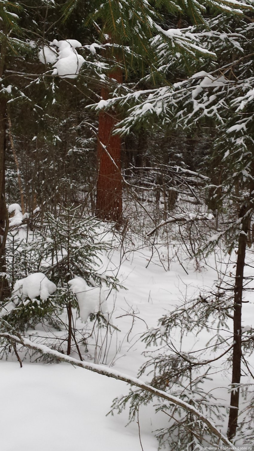 Дело было в январе — Домашние коллекции кукол: фото собраний